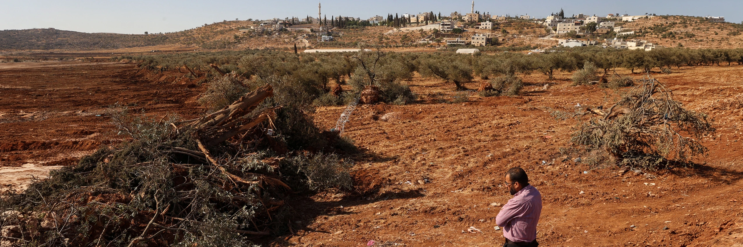 Ein Palästinenser betrachtet Olivenbäume, die israelische Soldat*innen im besetzten Westjordanland mit Bulldozern entwurzelt haben. Al-Mughayyir, 24. August 2025. © ZAIN JAAFAR/AFP via Getty Images