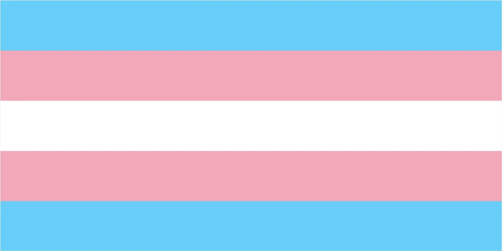 Transgender Flag