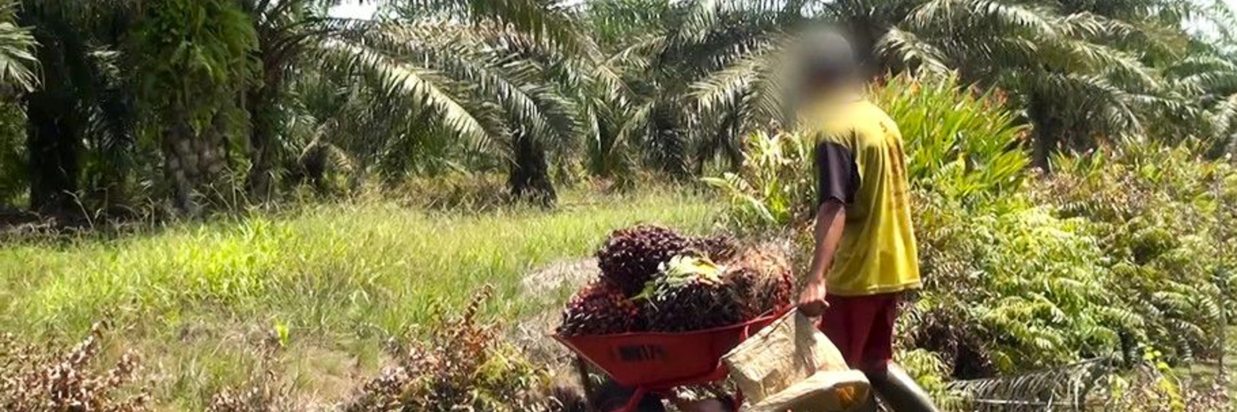 © Amnesty International/WatchDoc