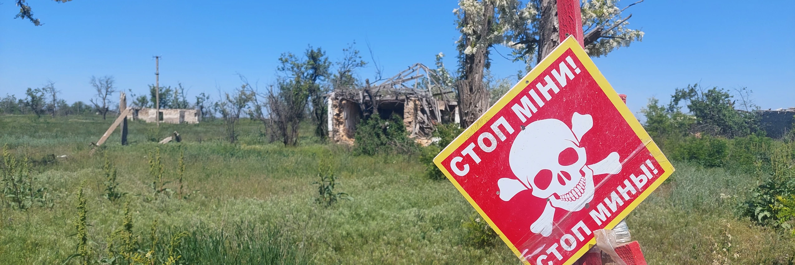 © Amnesty International