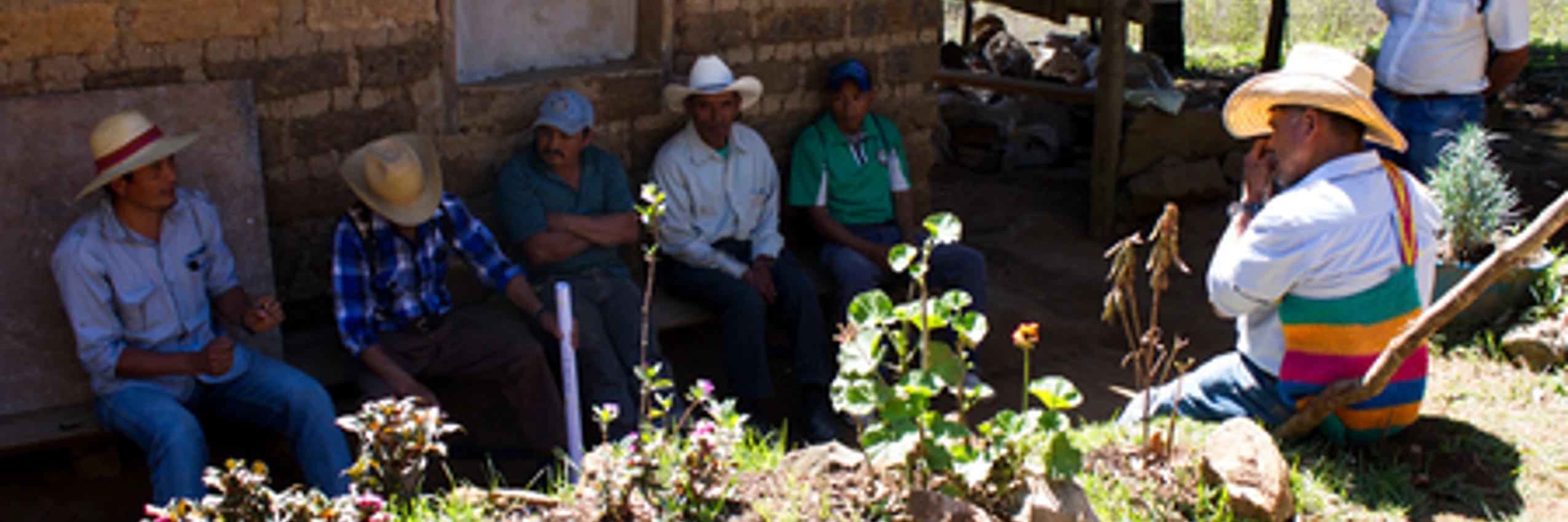 © Amnesty International