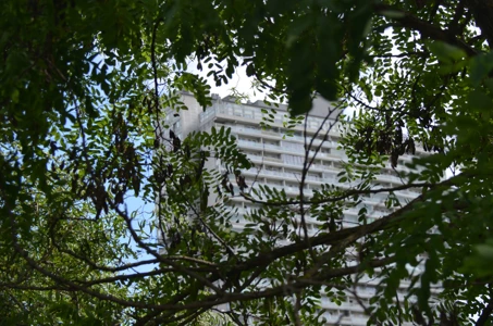 © Oliver Fleischmann