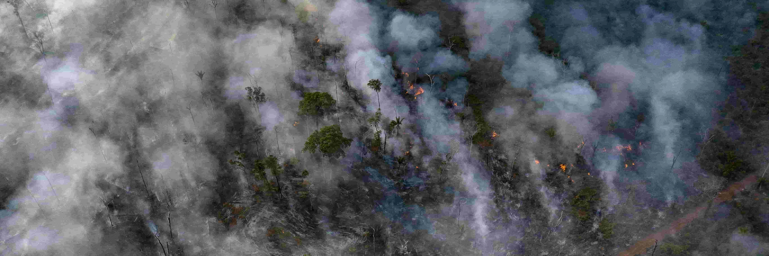 © Amnesty International