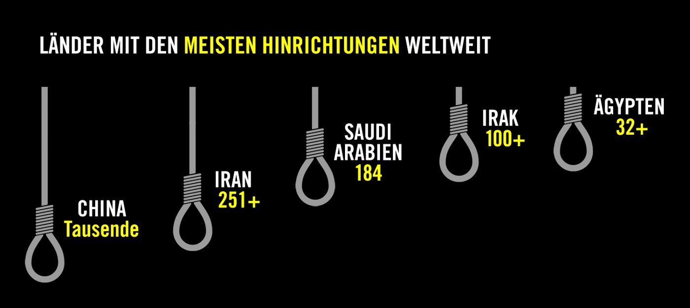 DP2019_SM_Top5_Final_DE_1500x670.png (1)