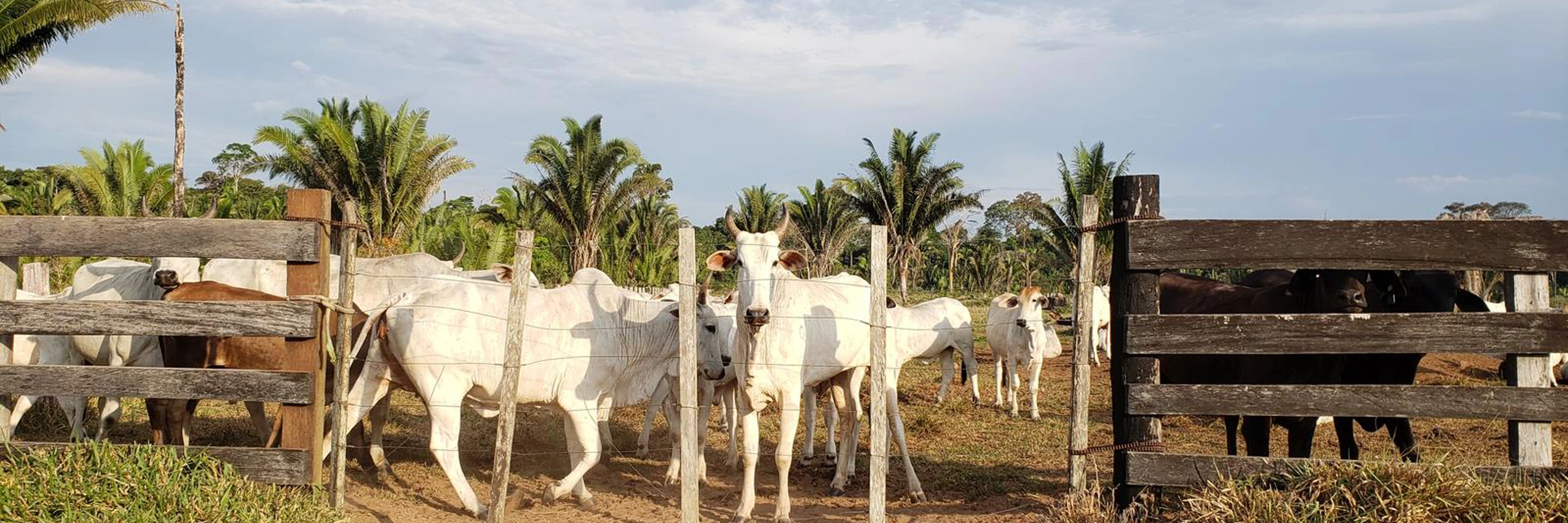 © Privat/Amnesty International