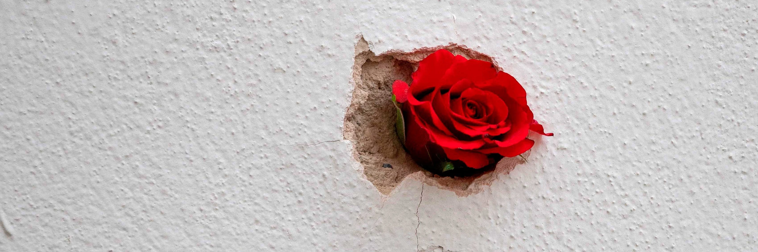 © JOE KLAMAR / AFP / picturedesk.com