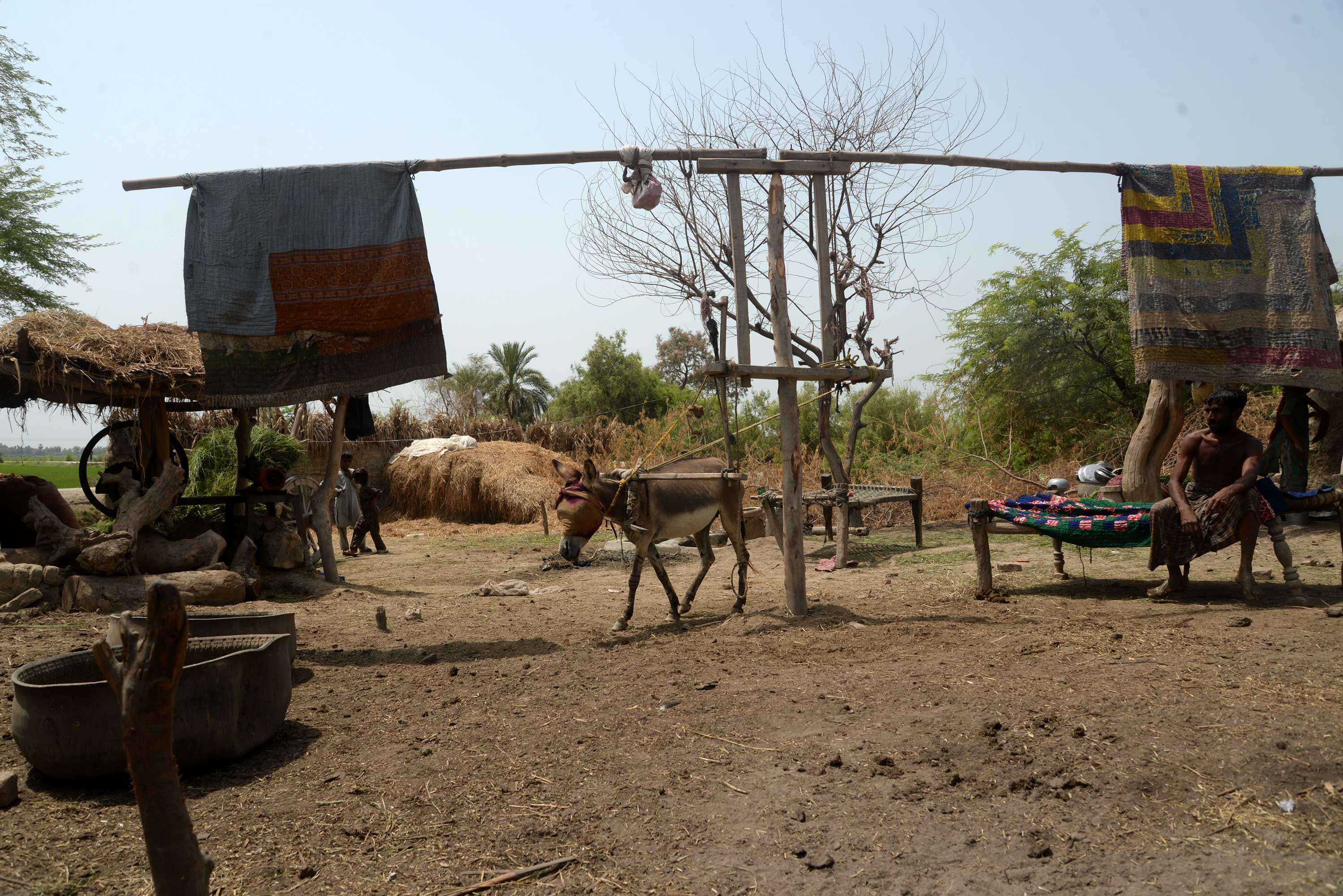 © Shakil Adil/Amnesty International