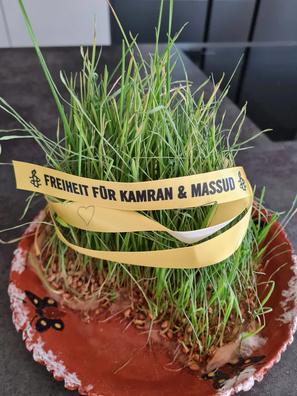 My Nowruz Wish 20220321 112008