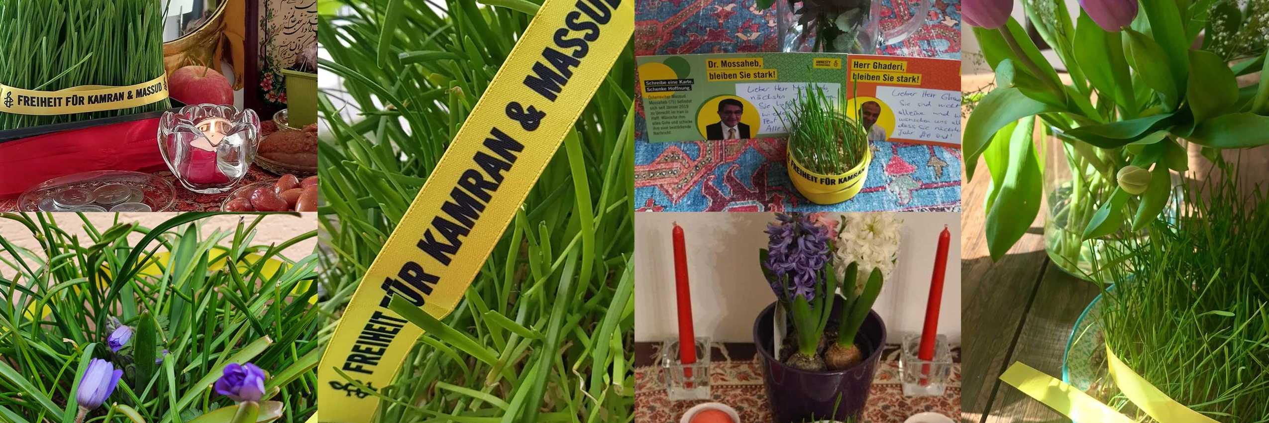 © Amnesty International