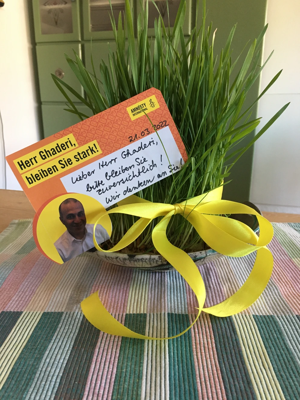 My Nowruz Wish IMG 3159