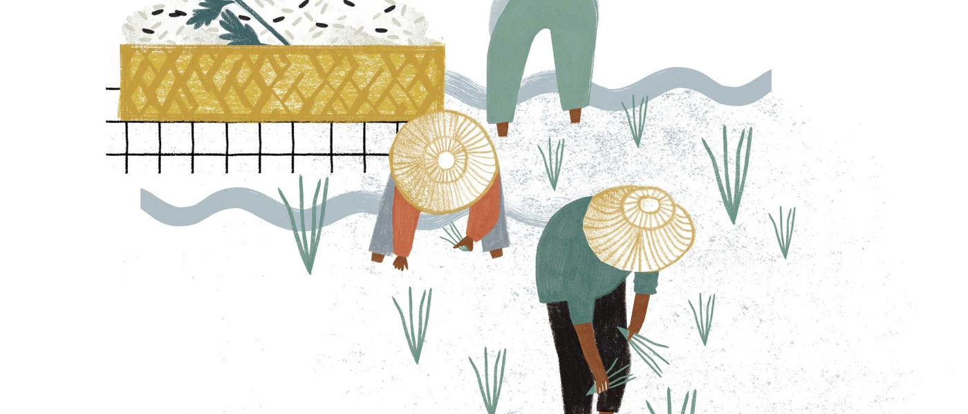 Recht Auf Nahrung Reis Saatgut Banken C Merle Schewe