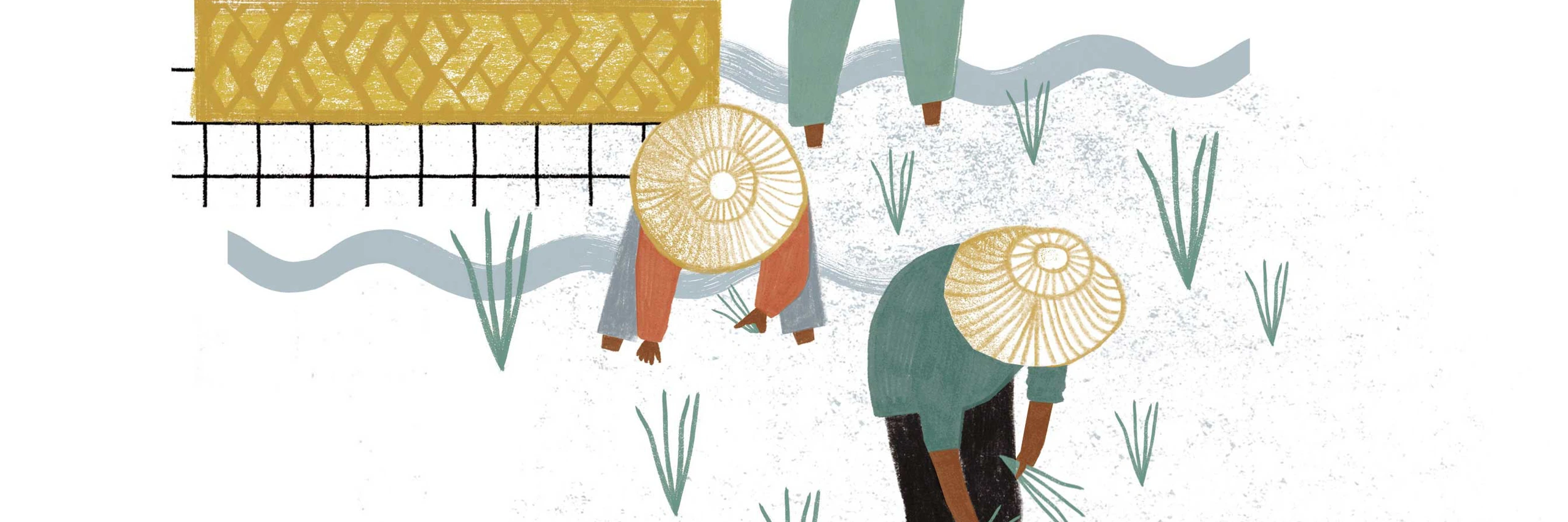 Recht Auf Nahrung Reis Saatgut Banken C Merle Schewe