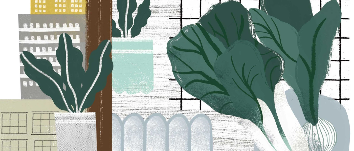 © Illustration: Merle Schewe