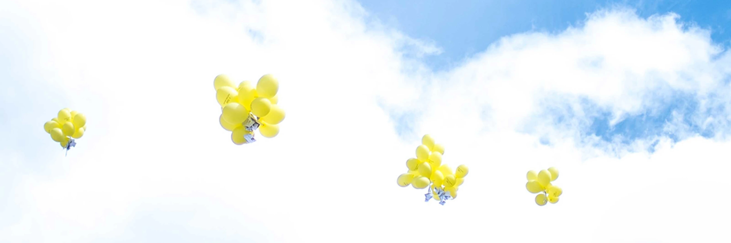 Erfolg Symbolbild Luftballons 3200X1800 C Christopher Glanzl