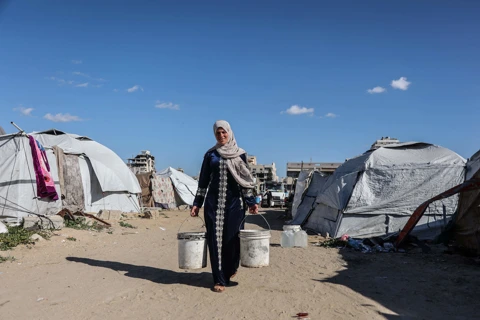 APA-Images / AFP / OMAR AL-QATTAA