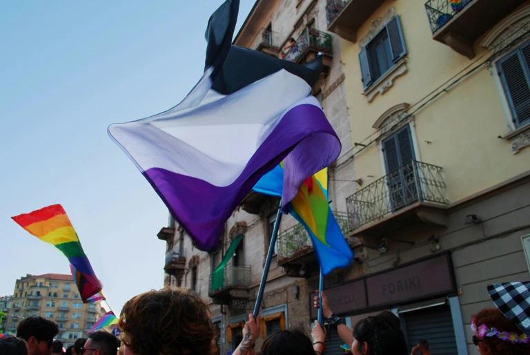 Asexuality Flag Pride