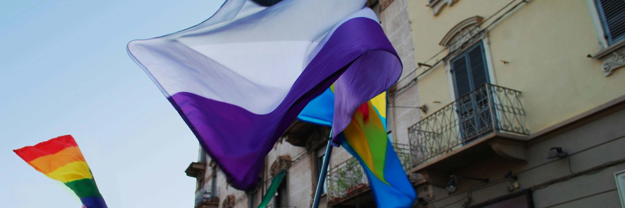 Asexuality Flag Pride